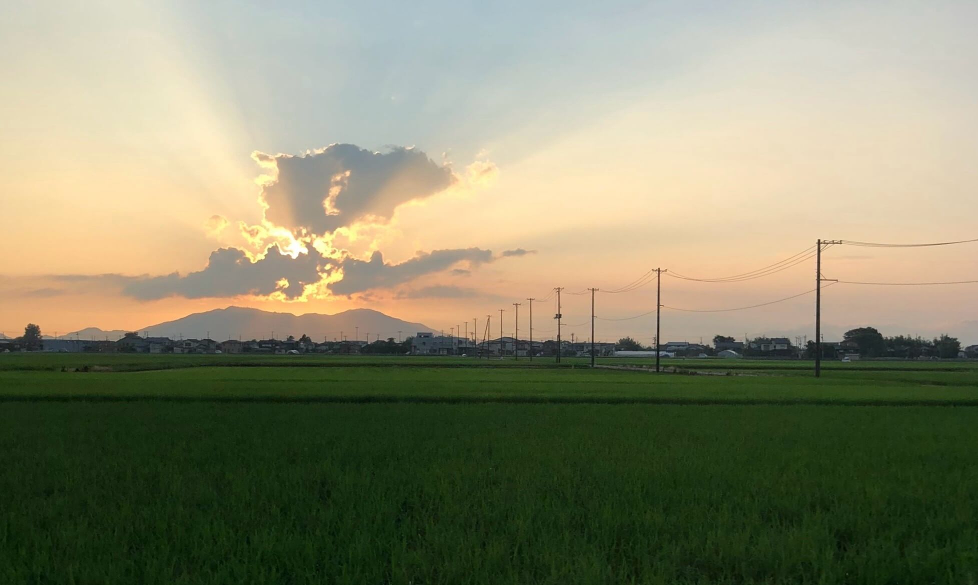 新潟の水田上空を飛行し農薬を散布する農業用ドローン